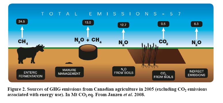 Hvor mye bidrar de ulike gassene til landbrukets klimapådriv?