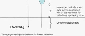 konsekvens medføre alvorlig helsefare for pasienter, medpasienter, pårørende, ansatte og tilfeldige ofre i det offentlige rom Ulik prioritering Aksen forsvarlighet - uforsvarlighet Behandling Aksen: