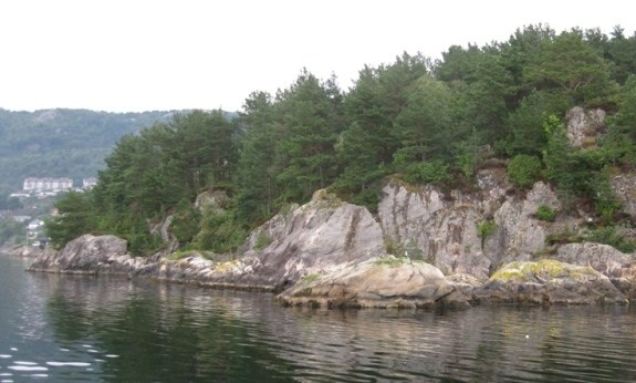 Innenfor planområdet er området preget av store høydeforskjeller. Det er komplisert å bevege seg fra Nesbakken til Nesveien gjennom planområdet til den andre siden pga. disse høydeforskjellene.