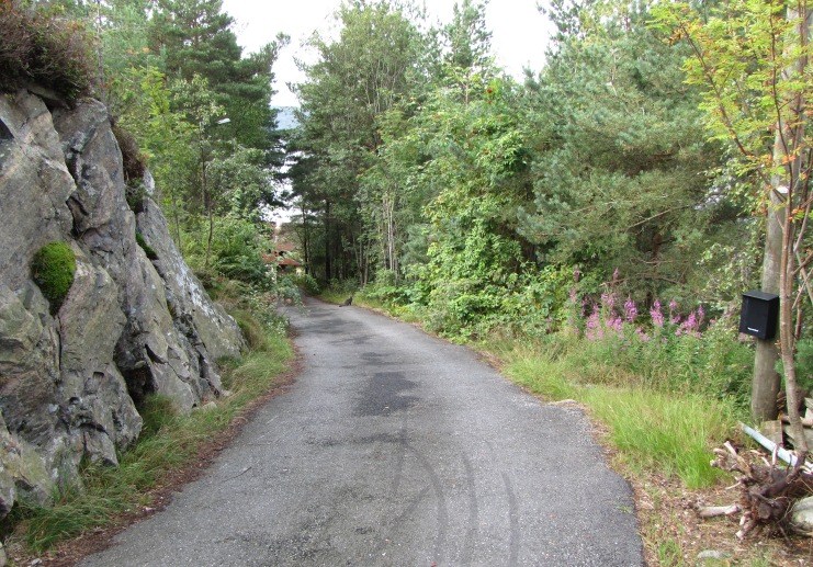 Pga kvaliteten på veien har Bekkjarvikveien delvis en fartsgrense på 30 km i timen.