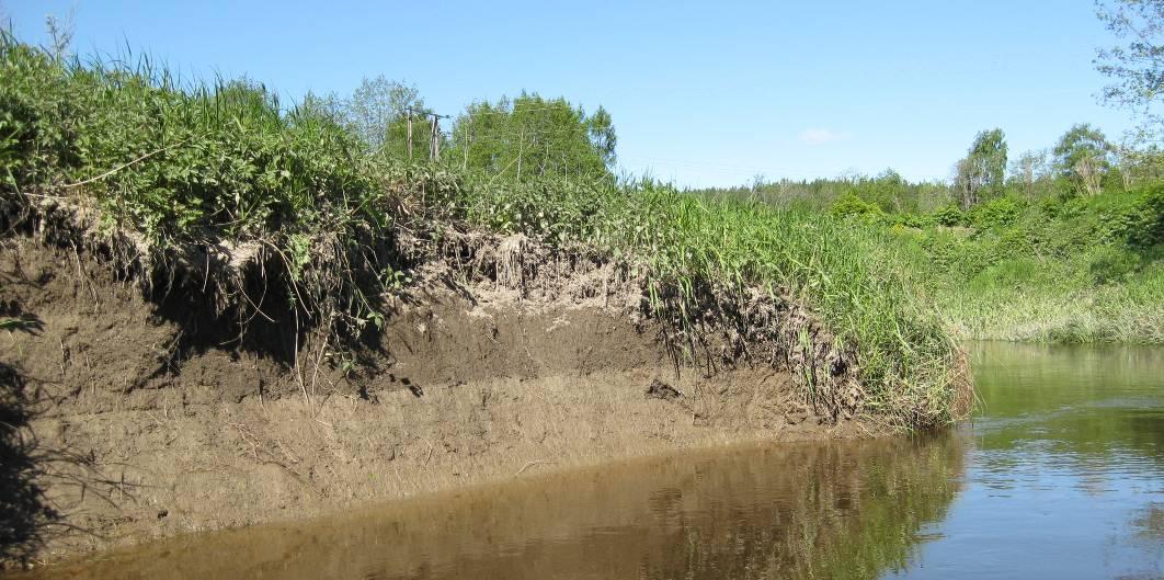 Et kritisk blikk på overvåkingsprogram for kjemiske støtteparametre i elver og bekker: Gir de den