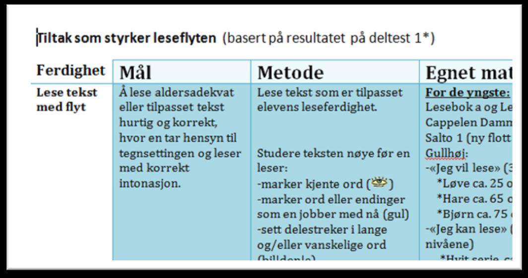 Fyldig tiltaksrapport Fyldig tiltaksrapport inneholder en presentasjon av så vel teori, som ulike metoder og tilnærmingsmåter som er egnet i