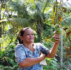 ALLIANCE MICROFINANCE AS 28 MOM (Vietnam) MOM er et «Social Fund» eiet av Women s Union (45,61 %), Misjonsalliansen (45,10 %) og Tien Giang Provincial Lottery (9,29 %).