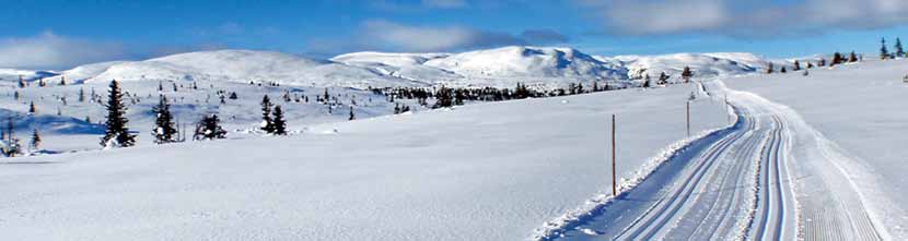 En klar anerkjennelse av jobben vi gjør, sier lederen av Foreningen Blefjell, Vidar H. Grønli. Det var i juni 2014 at Flesberg kommunestyre vedtok å gi denne støtten.