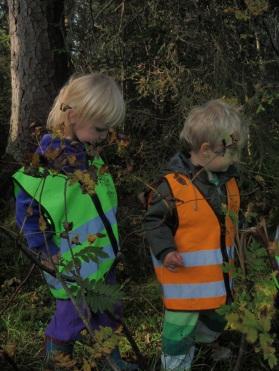 De ulike gruppene vi har på fjøset heter; Marihønene som er 2- åringene, Ekorngruppa som er 3- åringene, og