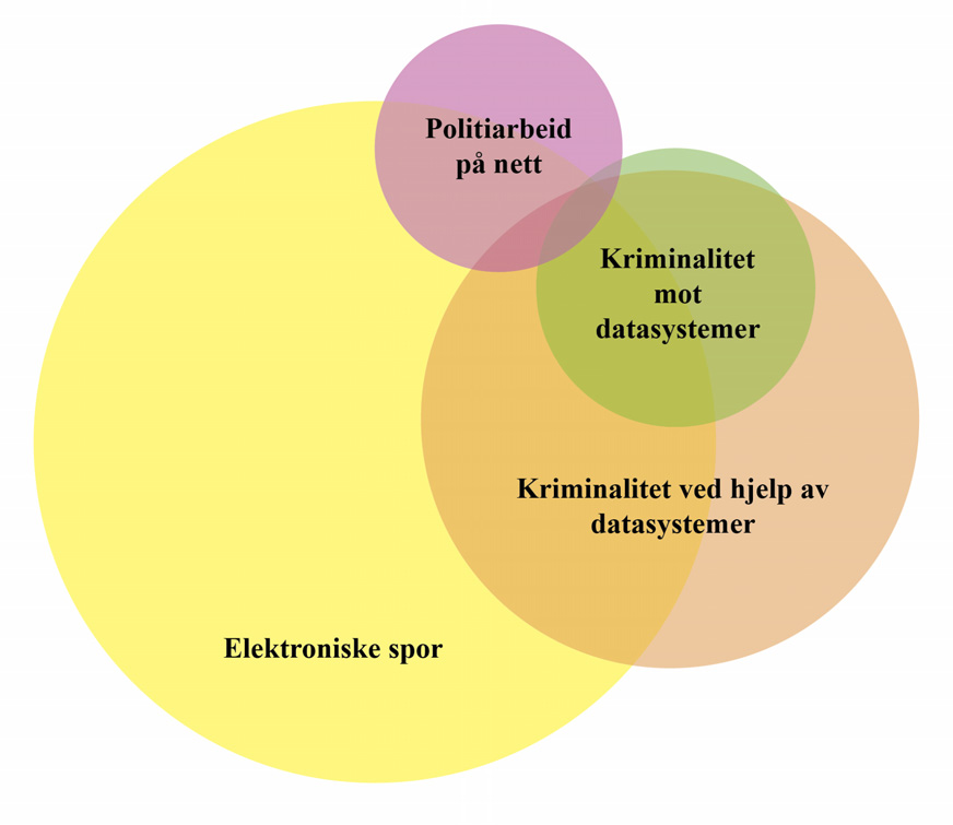 b) Kriminalitet hvor sentrale elementer av handlingsforløpet begås ved hjelp av datautstyr og/eller datanettverk.