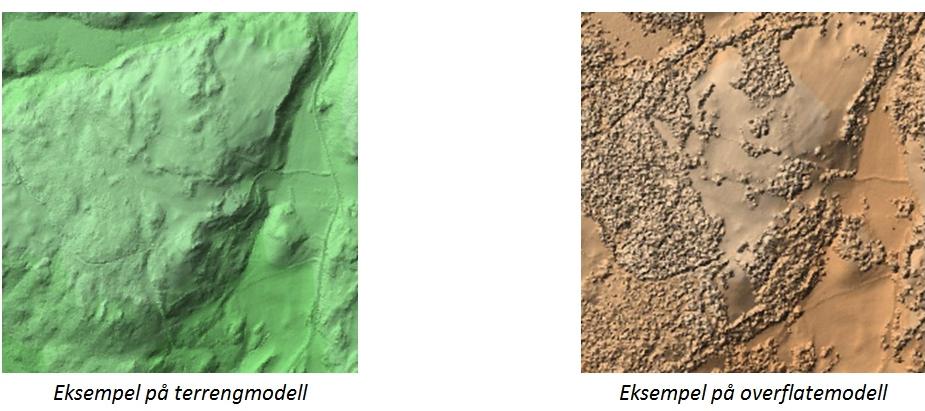 Figur: Laserdata vil gi to ulike former for høydedata terrengmodell som reflekterer bakkenivå, mens overflatemodellen viser høydenivå på objekter som er plassert på bakken, som høyde og form på trær,