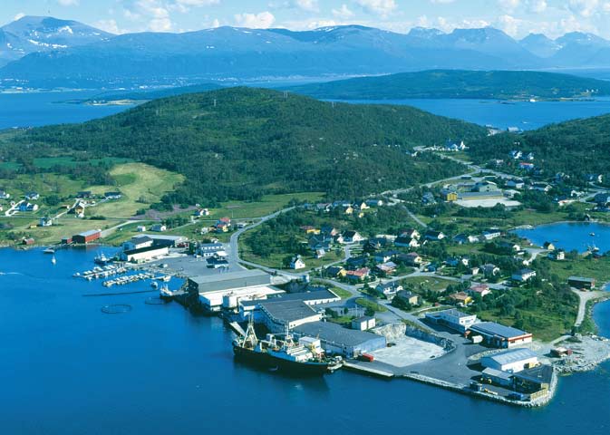 KAPITTEL V øya) på W siden av støste toppen på høyeste Kistholmen. Medet S-pynten av Gimsholmen fi av Geisnæingen leie fi N om samme gunnen.