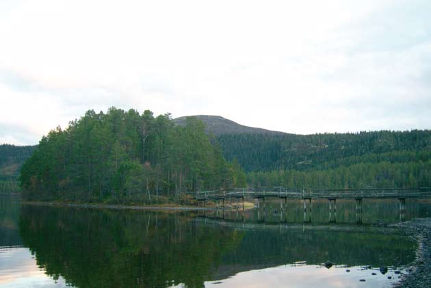 Gravholmen i Espedalen På Gravholmen i Espedalen har vi en av Norges mest spektakulære gravlunder. Langs stiene i skogsterrenget ligger gravene.