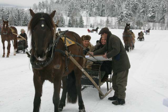 40-årsjubileum Søndag 15. februar 1953 holdt Prestfoss Travselskap jubileumskjøring. Dommere var veterinær Hans Valheim, gårdsbestyrer Johan Varsla og gårdbruker Arne Blegeberg.