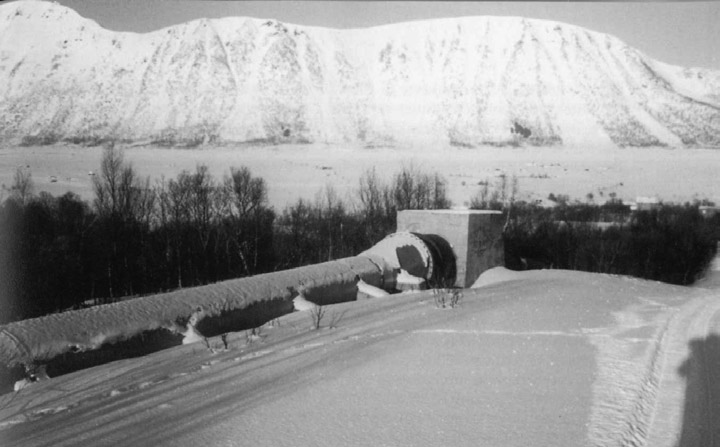 Rørgata til Lovik kraftstasjon. hadde da revidert kraftverkets regnskaper fra begynnelsen av. Revisjonen ble nå overtatt av den kommunale revisjon.