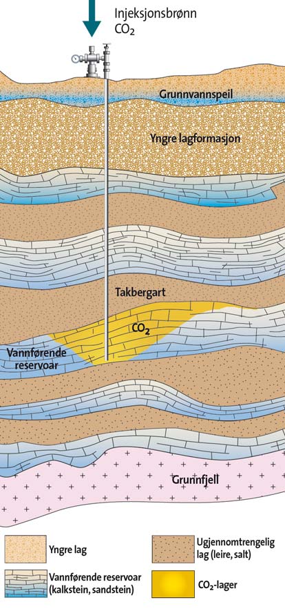 Hva skjer med CO 2 i reservoaret der den lagres? Når CO 2 er injisert inn i reservoaret, vil den stige langsomt oppover og fylle porene under takbergarten.