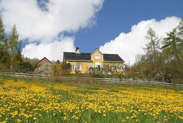 Eksempel på vurdering av samlet klimasårbarhet Naturlig sårbarhet Mer slagregn med økt risiko for råte Høyere stormflo med påfølgende vannskader Samfunnsøkonomisk sårbarhet Endret sammensetting av