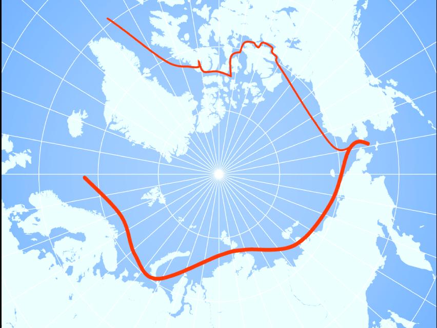 nye skinnebaserte transportkorridorer gjennom Sentral Asia), og hvor godt det internasjonale samarbeidsklimaet i nord fungerer - som er forutsetning for nødvendig utvikling av infrastruktur,