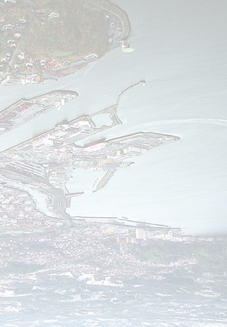Pilotprosjektet i Trondheim havn Hva er nytte og kostnader ved tiltak i sedimenter?