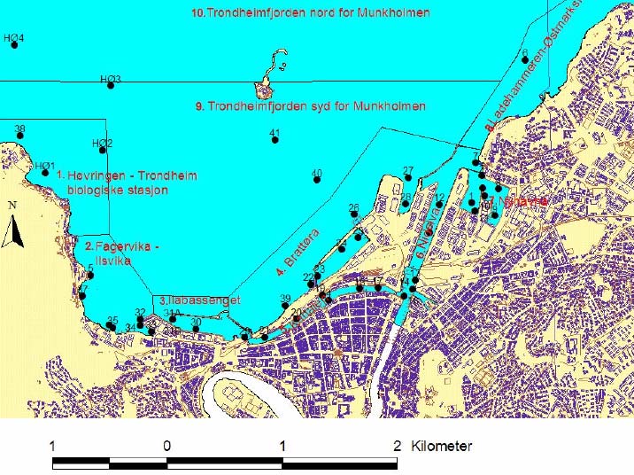 Vedlegg til skjema for Trondheim havn, Fagervika-Ilsvika Kartet viser delområde