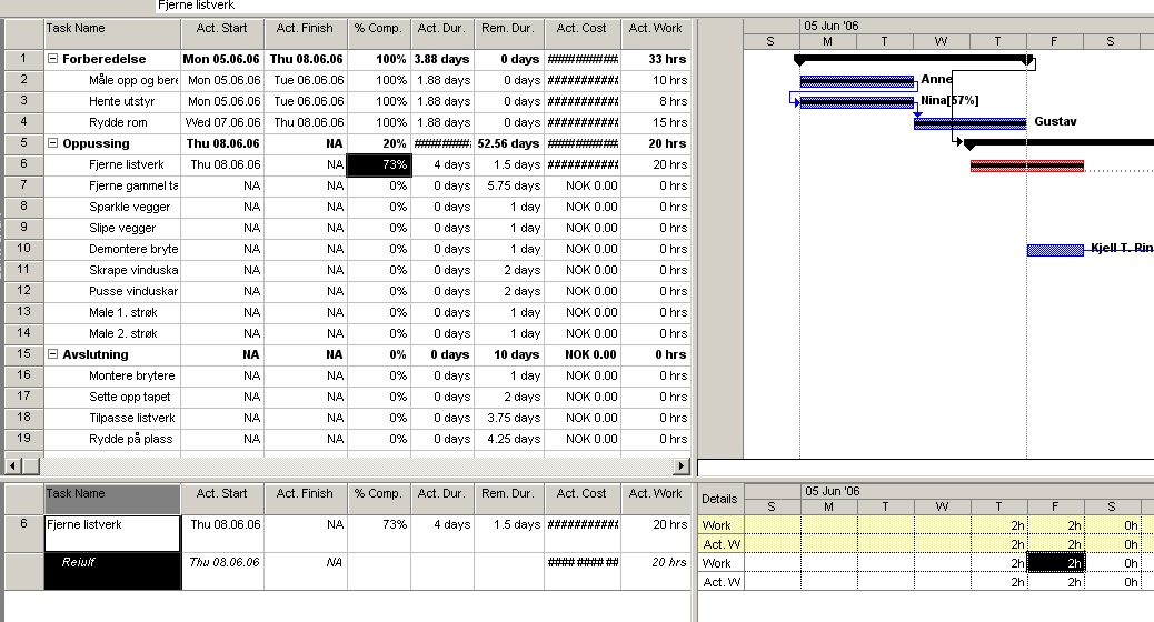 Alternativt kan du bruke gantt-visning kombinert med tabell tracking i øverste vindu og visning task usage i nederste vindu.