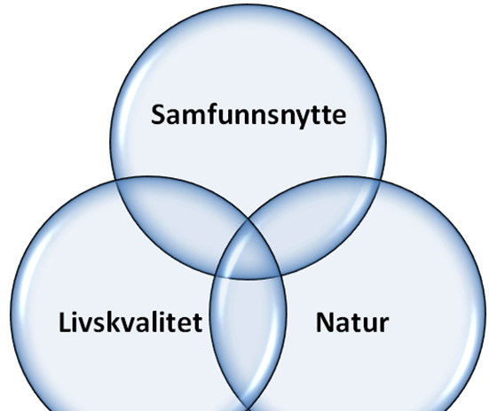 Konseptskisse formidling av spisskompetanse Stat, kommune og konsulent Bebyggelse og