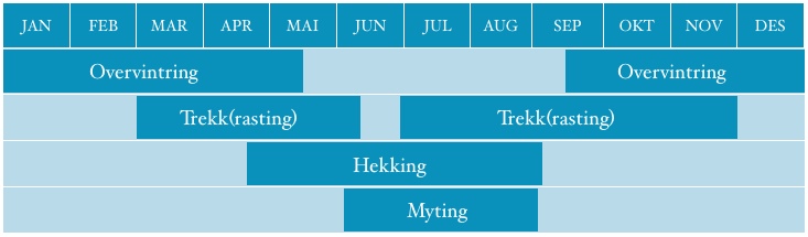 Fuglenes bruk av Listastrendene landskapsverneområde Bruken av Listastrendene året gjennom omfatter hekking, rasting/matsøk under trekk, myting/oversomring, og overvintring.