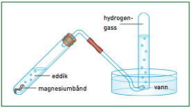 (Se figur 3.1) Vi lot reagensglasset fylles helt med hydrogengass. Figur 3.1 Oppsamling av hydrogengass (Hentet fra Kjemi for lærere" 2011) 4.