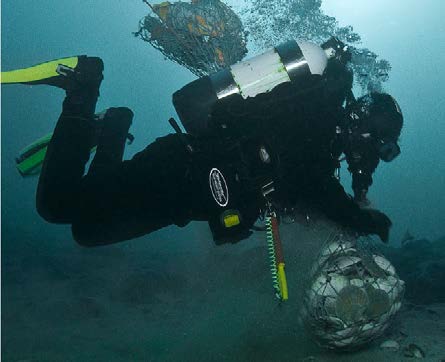 Foto: Karel Bernard Lever av: Planteplankton, bakterier andre mikroorganismer.