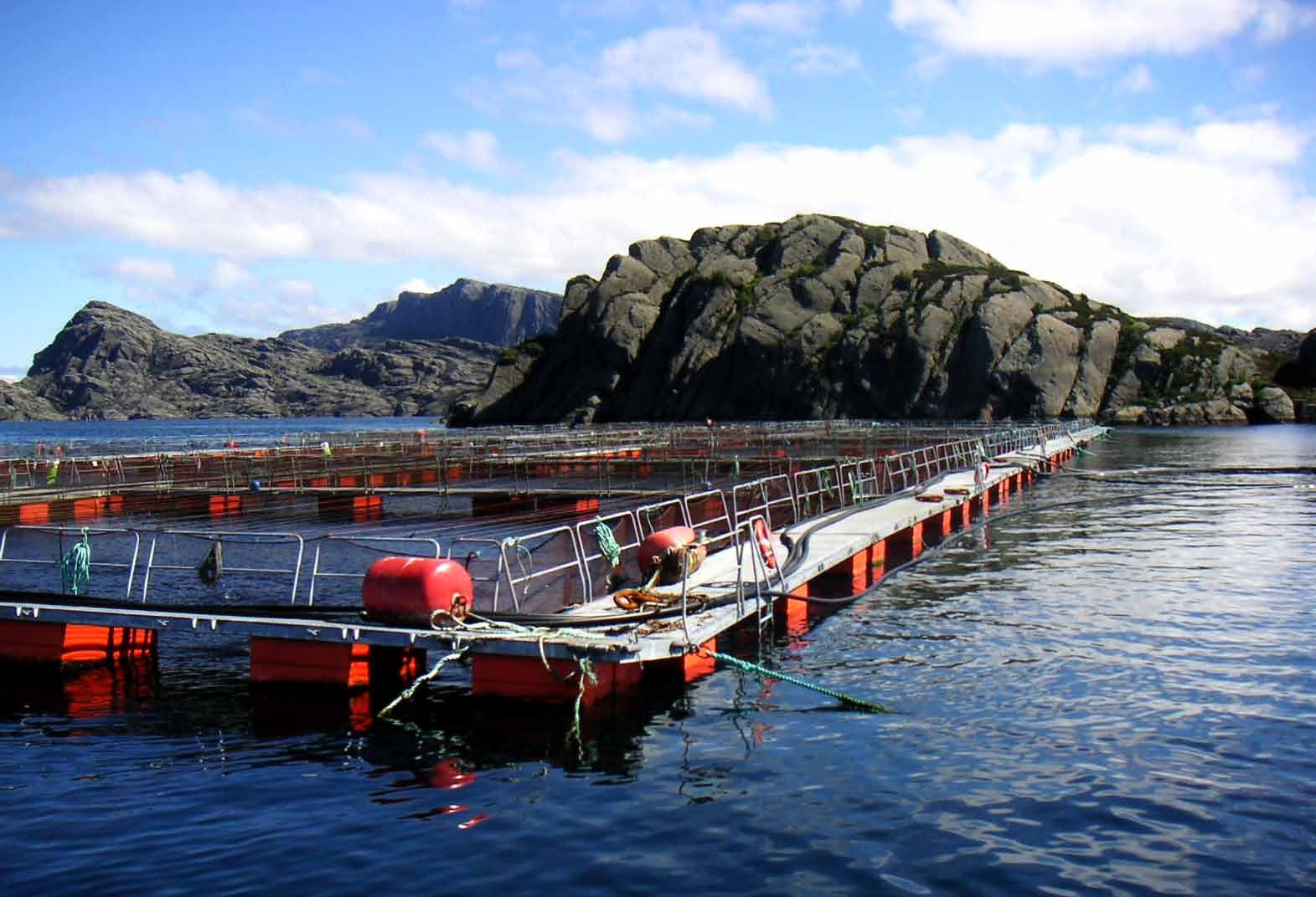 AquaLog tilfredsstiller lovpålagte og interne krav AquaLog er et verktøy som hjelper deg med å tilfredsstille kravene i NS9415 og NYTEKforskriften.