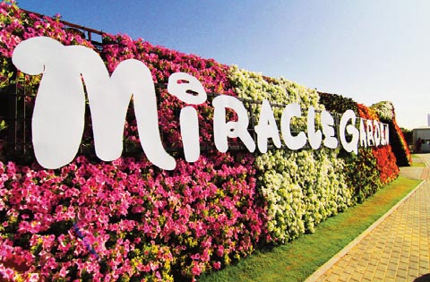 Dubai s Miracle Garden har akkurat åpnet sine porter nær den enorme trafikkmaskinen ved Arabian Ranches. Her er blomster i alle farger og formasjoner. Det lukter faktisk friskt.