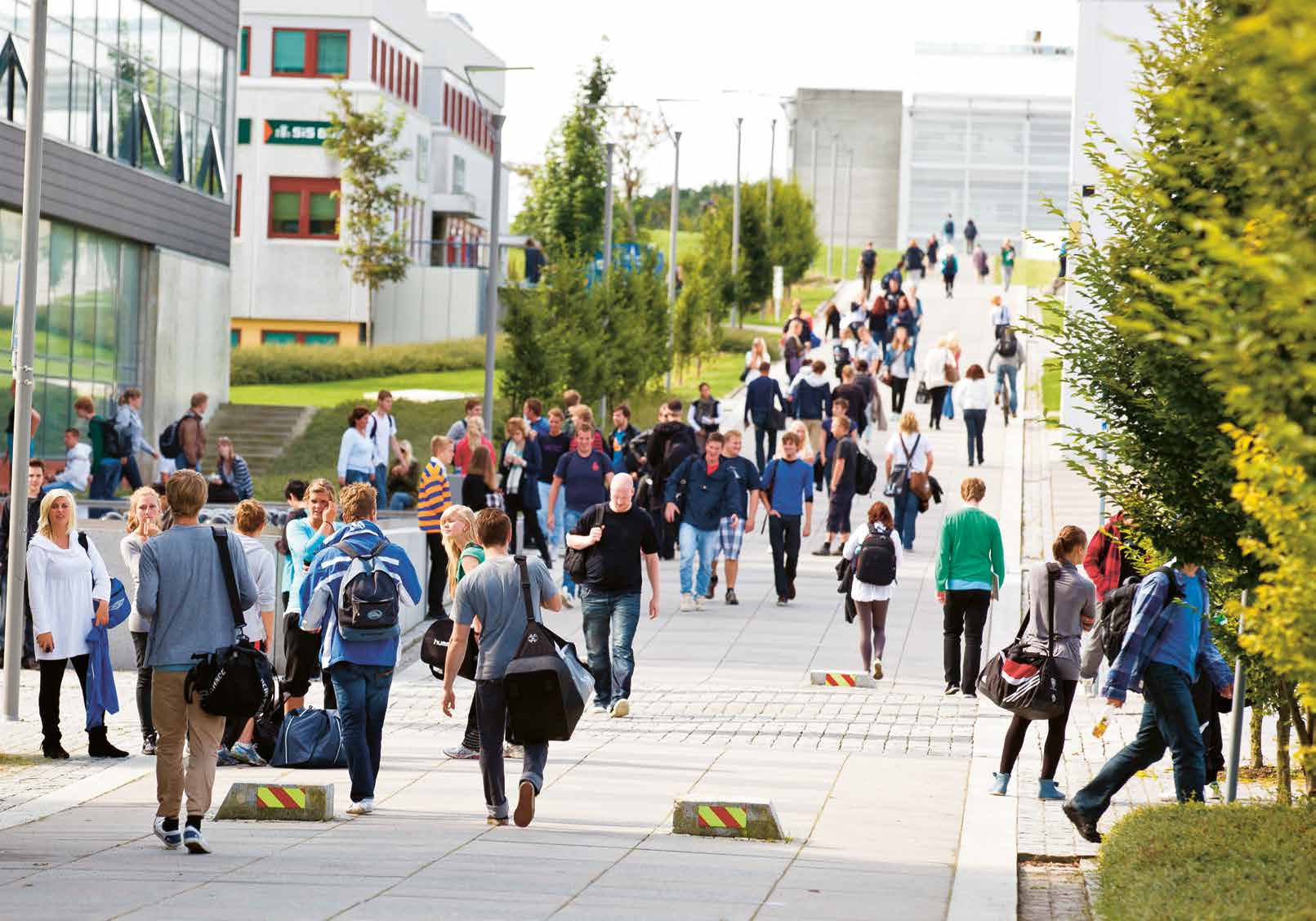 UiS 10 år Akademisk 10-åring Mer kompetanse i regionen, flere