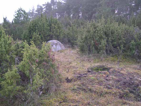 Utvidelse av naturlige glenner