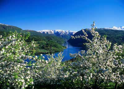 Nils-Berge Sundfør er reiseleder og vil vise vei i et område han kjenner godt! Dag 1: Telemark Eidfjord Avreise om morgenen.