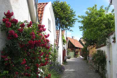 Hovedstaden Visby er et flott eksempel på gammel arkitektur fra øyas storhetstid i middelalderen. Gamlebyen omkranses av en ringmur fra 1200-tallet. Her finns 92 velholdte kirker.