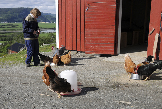 Siri Sæther Olden mater hønene. oppholds rom. Omgivelsene benyttes aktivt til fottur, tur med hest og vogn, eller en luftetur med en av gårdens hunder.