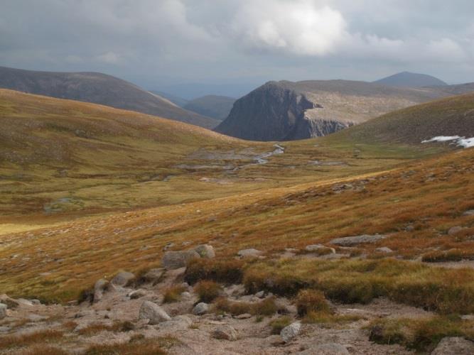 Cairngorm-toppen som vi