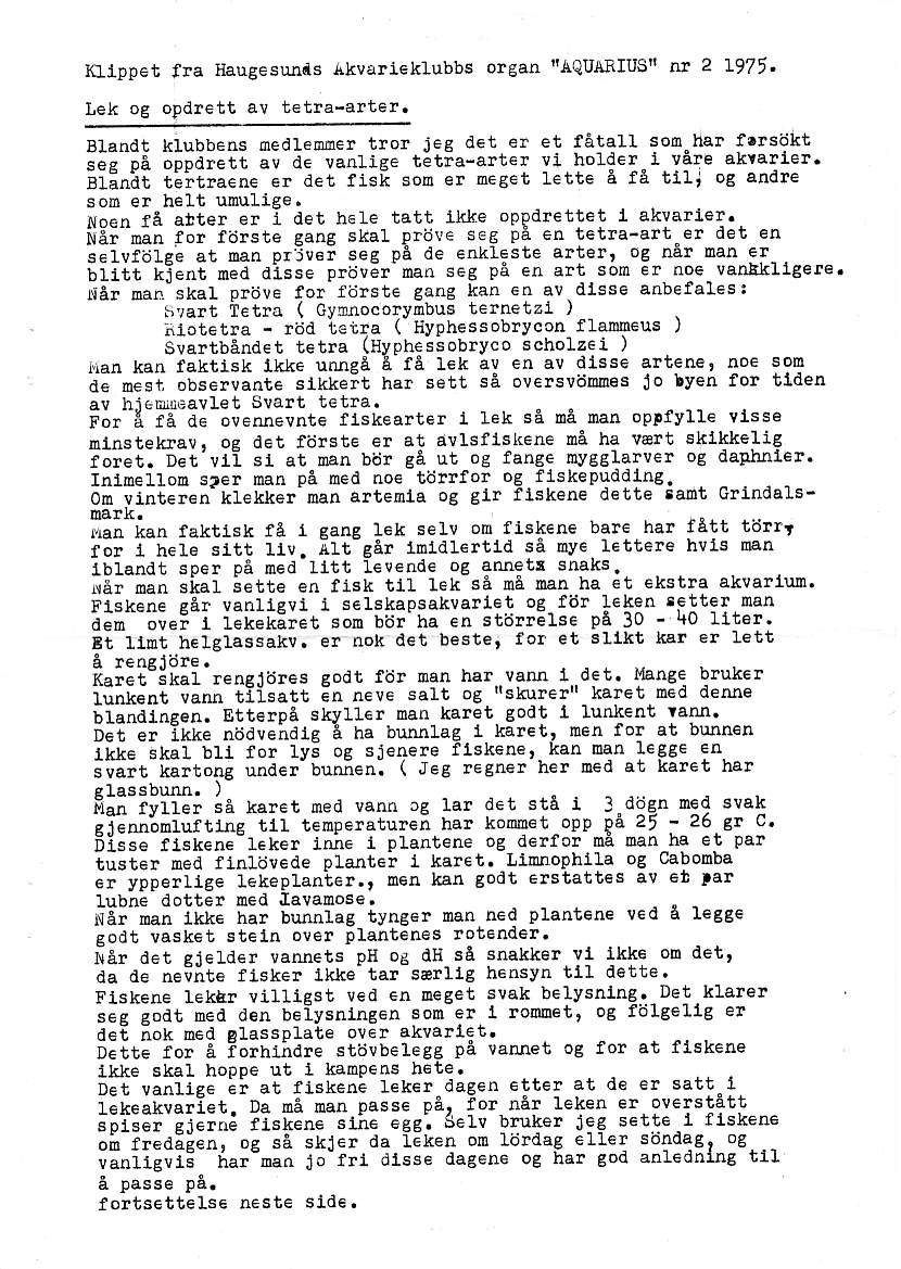 labpet fla liaugesu{s akvåll klubbs orean TTAQUA3IUOi nr 2 1975. lek oc oldlett av tet!å-a!ter. alanilr klubbcds øed1"mc! tlor Jcs del r et fåla1t soø hs! f'rsdkt iål oå ooja*tt a! dc la^ljse tåtia-a!