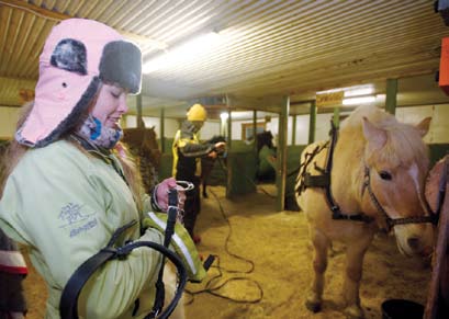 Tilrettelegging av nærområdet Turister ønsker å vandre tørrskodd og vil vite noe om hva de ser. Kvalitetsguider etterspørres, og vi ønsker kortere opplevelser.