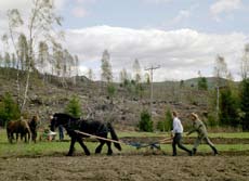 Samvirket har et arbeidende styre som bl.a forbereder saker til allmøter.