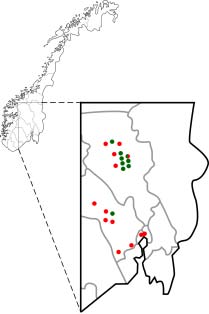 4 WWFs prioriterte skogtyper 4.1 Bekkekløftskoger - gjemmested for hemmelige huldreplanter Bekkekløftskoger finner vi i dype juv. I bunnen renner elva, mens selve kløfta er skogkledd.