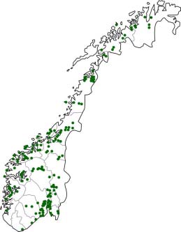 4.3 Kalkskoger - et eldorado for spektakulære orkideer Kalkskogene finner vi i områder med kalkrik berggrunn eller der det er spesielt mineralrik jord.