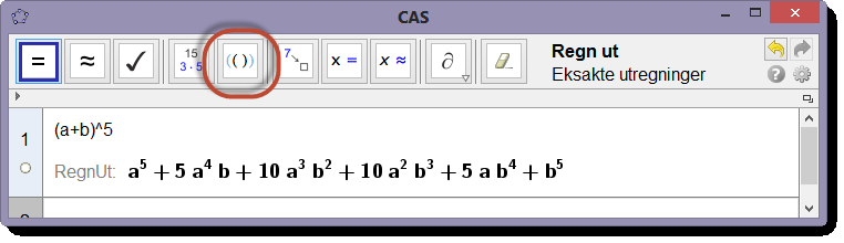 11.1 Verktøylinjen i CAS Figur 65: Det kan ta litt tid å gange ut (a + b) 5 dersom du ikke kan binomialteoremet... Neste verktøy er Sett inn variable eller tall.