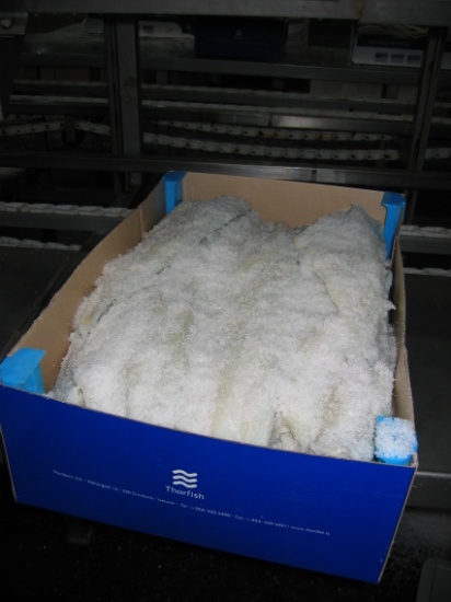 Brukt salt blir lagret i produksjonshall med varierende temperatur og på kjølerom (4 C).