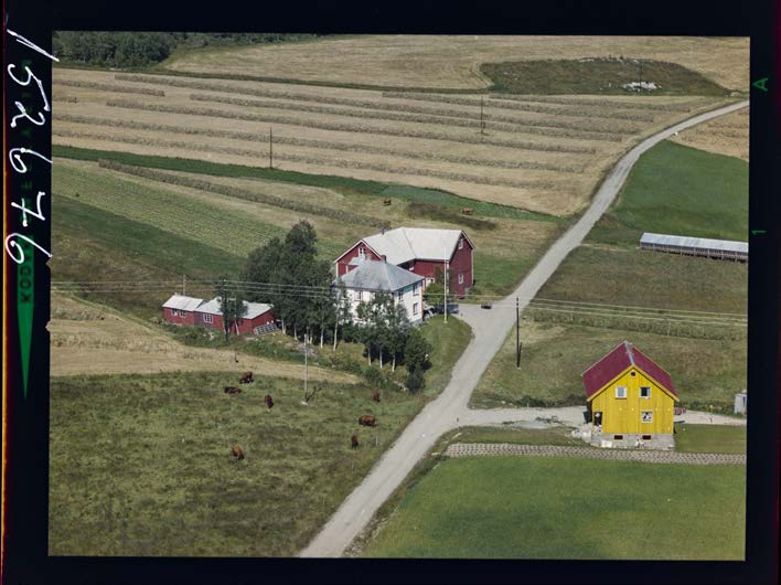 Fra Lødingen, 1961