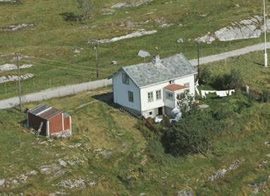 De kyrne som ikke beiter, har lagt seg ned i gresset og lar sola hvile på den store kroppen mens juret fylles med varm, søt melk. Den trange båsen tilhører ei annen tid, et annet sted.