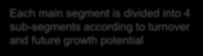 sub-segments according to turnover and