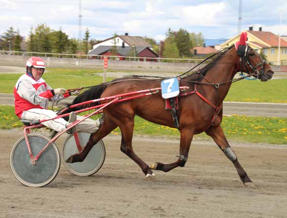 9 10 2015: 4-0 -0-0 -3-21.2v -6.000 2014: 2-0 -0-0 -0-22.3v -0 Shiny Diamond 8 21,2m 6.000 6 år Brun HP v. Super Nick (US) e. Zarina Sund v.