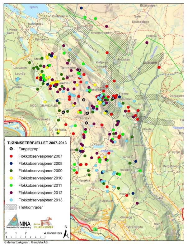 Figur 1. Utbreiing av flokkobservasjonane i Tjønnseterfjellet i perioden 2007-2013.