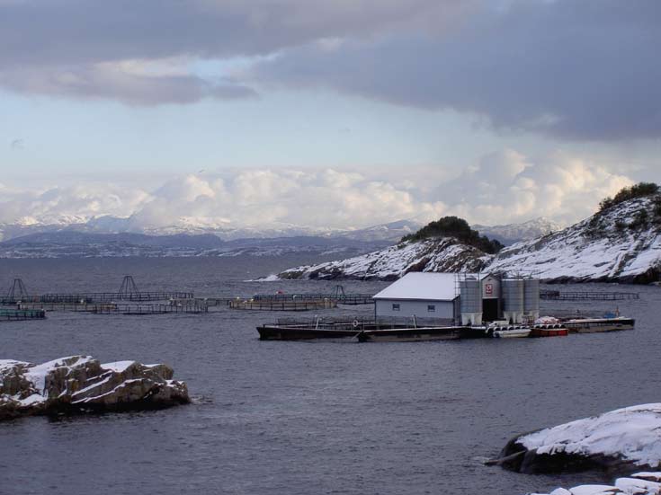 I 1978 ble hovedadministrasjonen til Norges Vel flyttet til Hellerud. Samme år ble det etablert en egen stamsædsentral, og i 1980 et eget frøsenter på Hellerud.