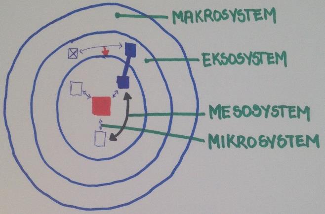 Detaljert modell som framstiller samhandlingen mellom aktørene i individets liv Figur 2.2: Modellens innerste sirkel viser mikro- og mesosystemet. Rød firkant viser individet.