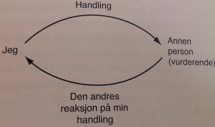 på både faglige og sosiale arenaer. For at den andre skal få status som speilingsaktør, må vedkommende bety noe for eleven (Imsen, 2010; Lillejord, 2010b).