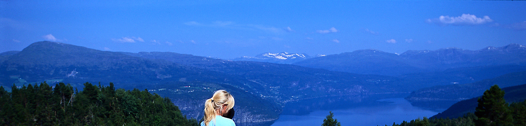 Fjordhesten, vestlendingen sin kulturarv Oppsummering Kvifor fjordhest? Fjordhesten har lokal, regional, nasjonal og internasjonal interesse.