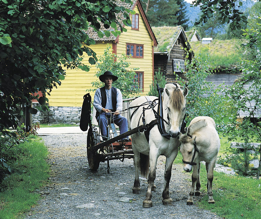 Mål for hovudprosjektet Fjordhesten skal verte synleg som ein kulturskatt av nasjonal og internasjonal verdi Folk i Sogn og Fjordane, og Nordfjordingane spesielt, skal verte medvetne om sin